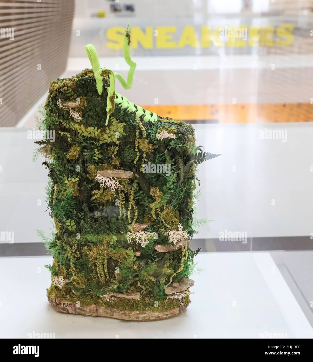 LE SNEAKERS ENTRANO NEL MUSEO AL MUSEE DE L'HOMME , PARIGI Foto Stock