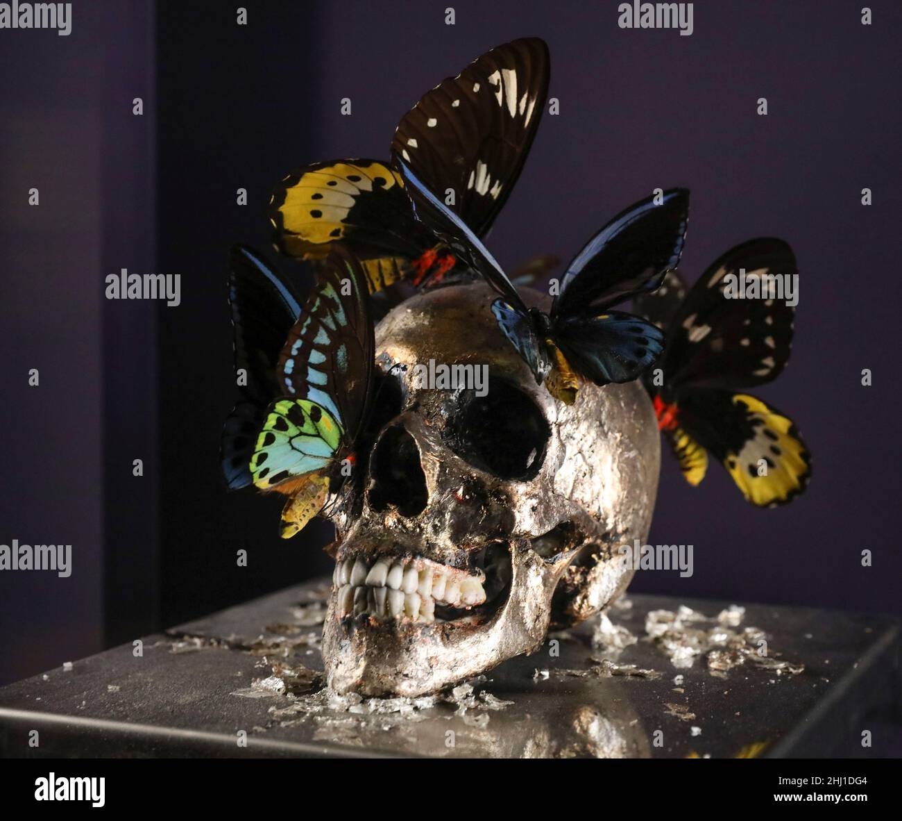 TESCHI DECORATI AL MUSEE DE L'HOMME, PARIGI Foto Stock