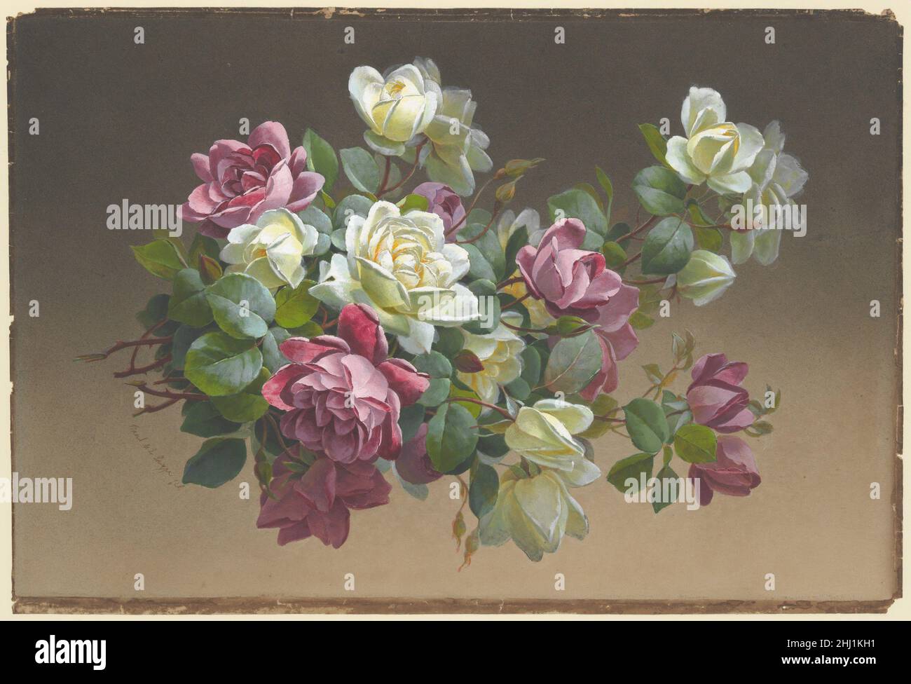 Fiori: Rose fine 19th–inizio 20th secolo Paul de Longpré francese. Fiori: Rose 337713 Foto Stock Fiori: Rose fine 19th–inizio 20th secolo Paul de Longpré francese. Fiori: Rose 337713 Foto Stock