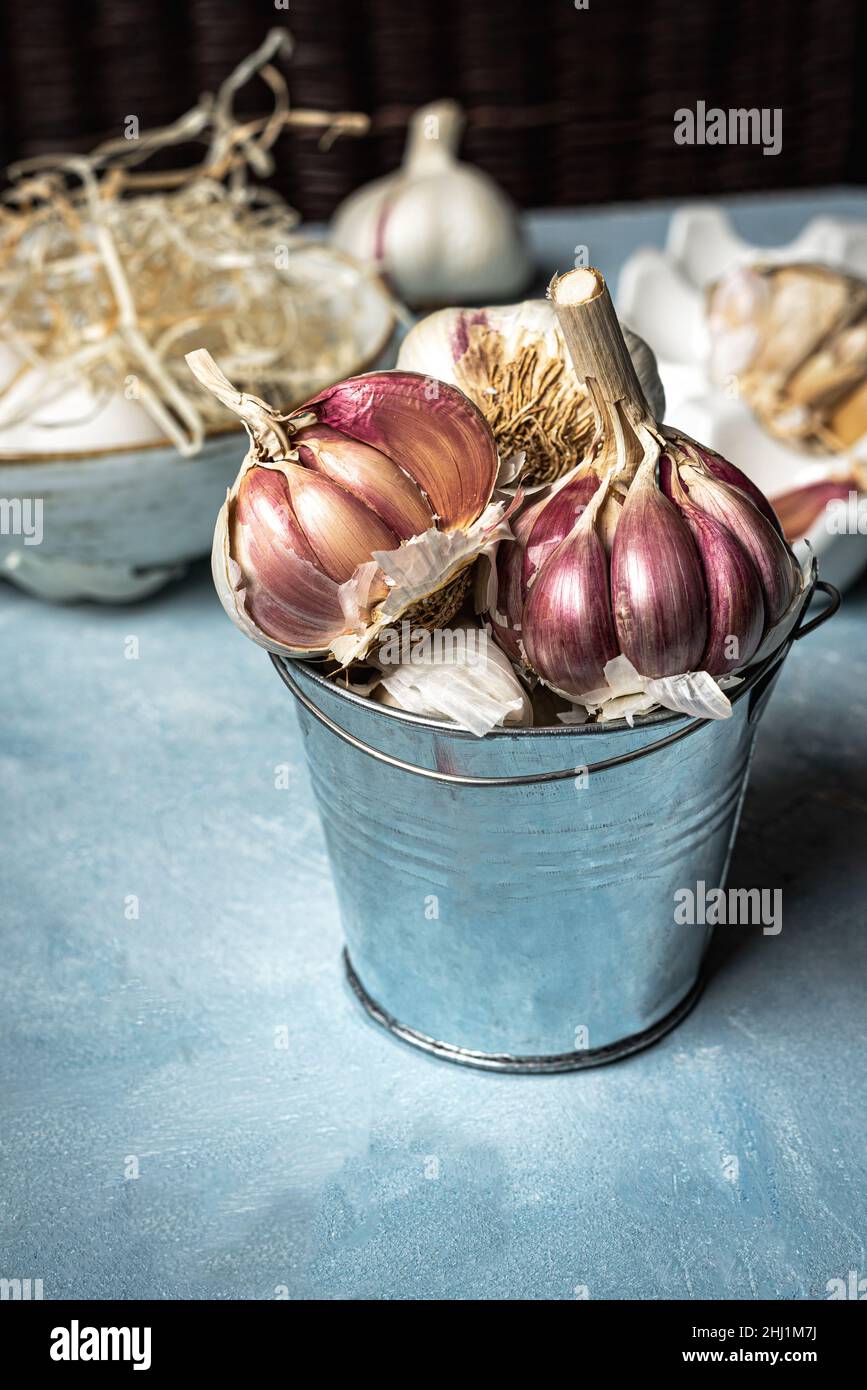 Aglio giovane con striature viola in un piccolo secchio di metallo Foto Stock