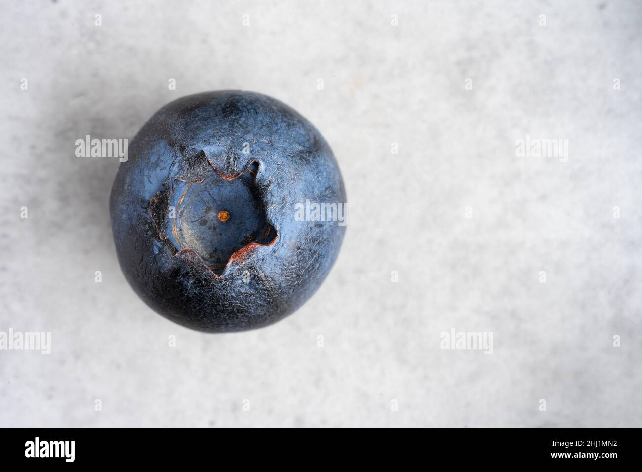 Un mirtillo fresco isolato su sfondo neutro Foto Stock