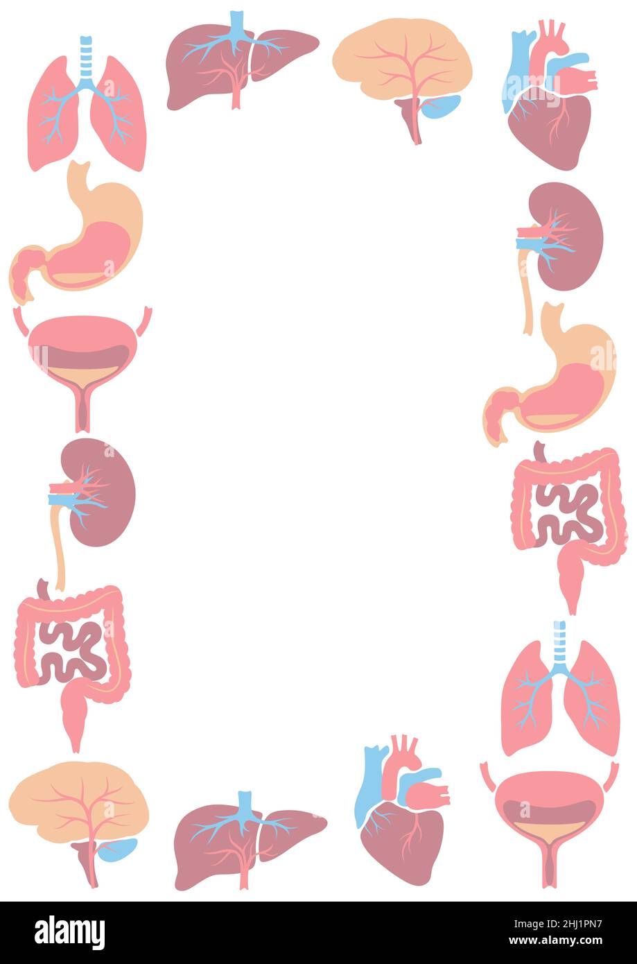 Telaio con organi interni. Anatomia del corpo umano. Assistenza sanitaria e disegno medico. Illustrazione Vettoriale