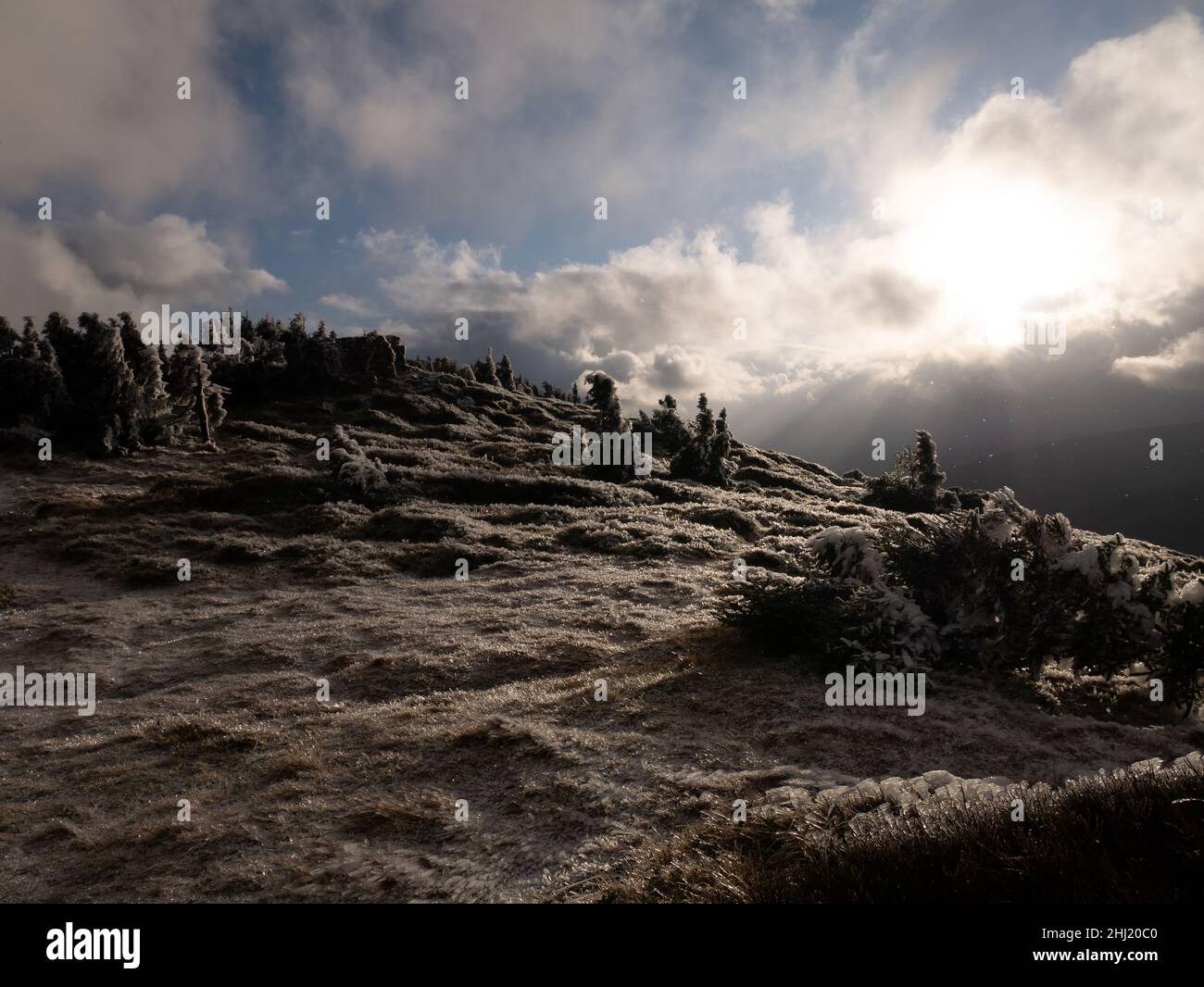 Paesaggio aspro su una catena montuosa di montagne geseniky con alberi storditi ricoperti di rime a fine autunno. Nuvole e luce del sole, luce del giorno. Jeseniky Foto Stock