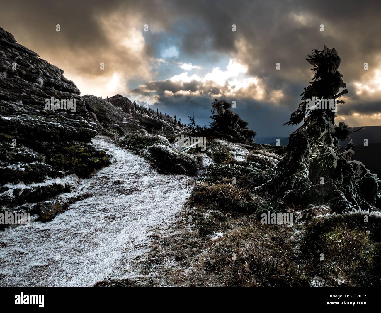 Paesaggio aspro su una catena montuosa di montagne geseniky con alberi storditi ricoperti di rime a fine autunno. Nuvole e luce del sole, luce del giorno. Jeseniky Foto Stock