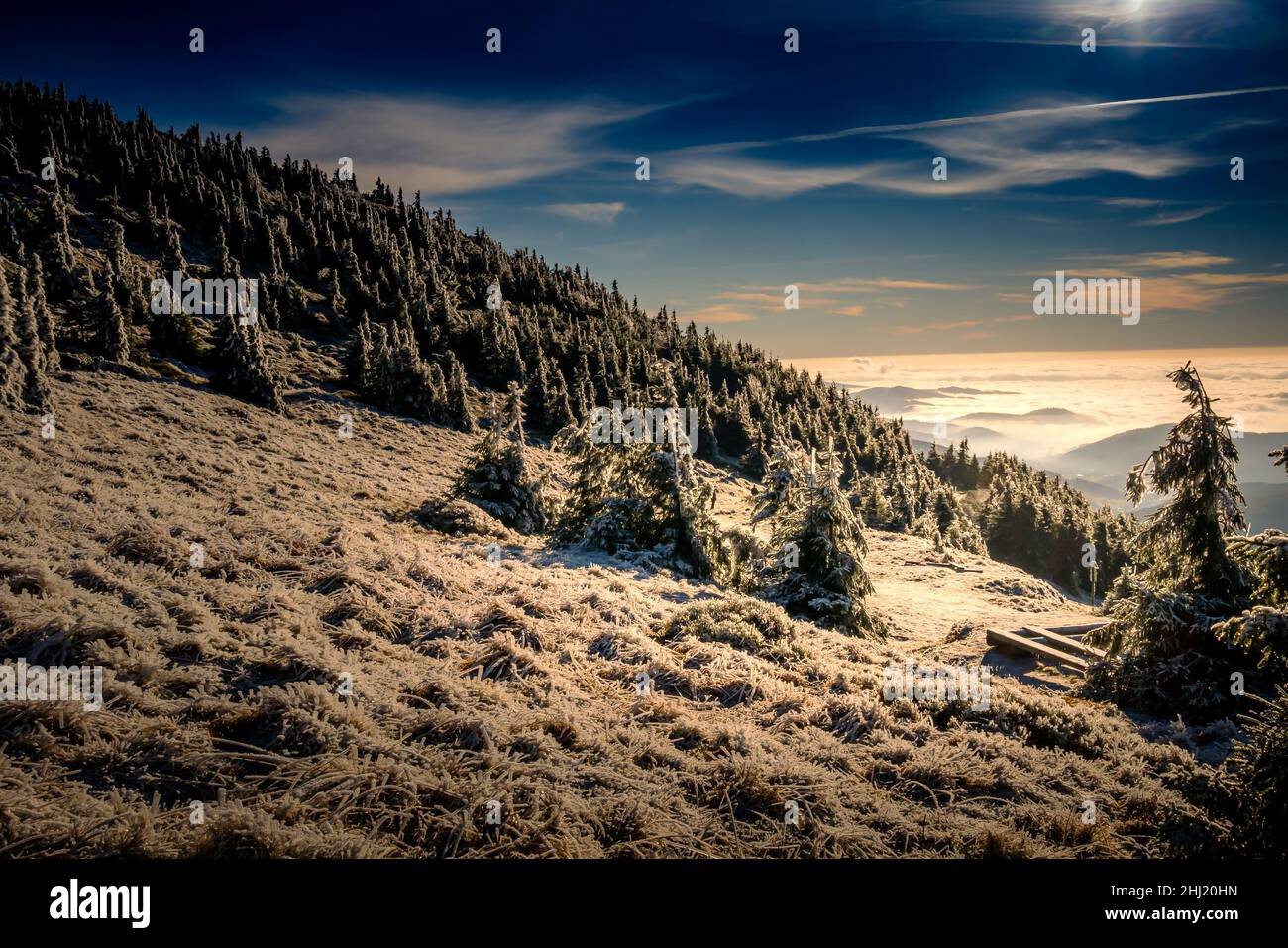 Paesaggio panoramico con alberi ricoperti di rime, vista da una fascia montatina alla valle piena di nubi basse durante l'inversione di temperatura. Blu e. Foto Stock