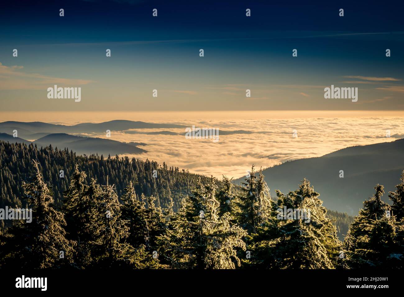 Paesaggio panoramico con alberi ricoperti di rime, vista da una fascia montatina alla valle piena di nubi basse durante l'inversione di temperatura. Jeseniky. Foto Stock
