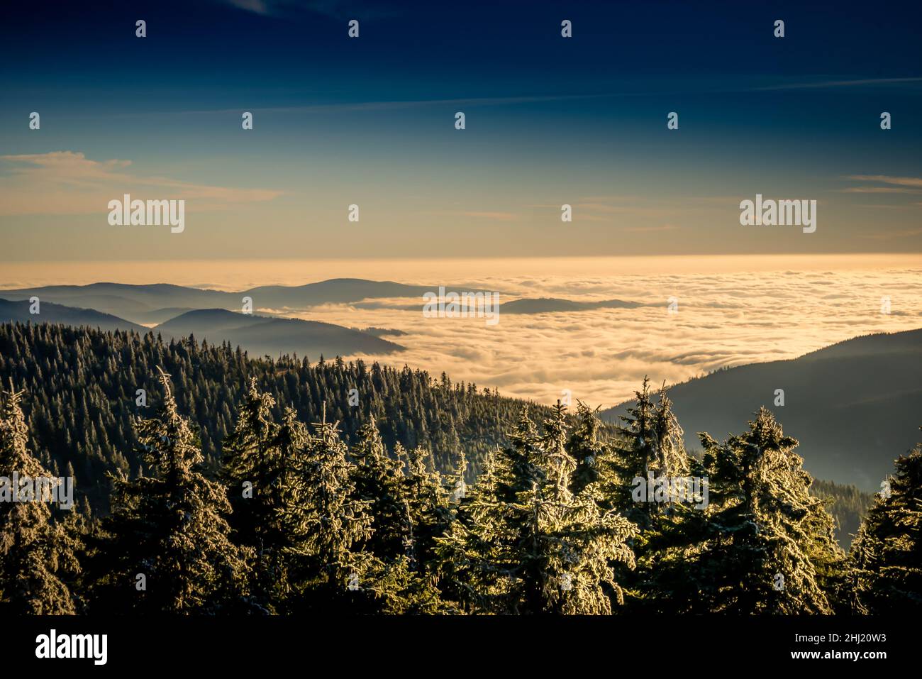 Paesaggio panoramico con alberi ricoperti di rime, vista da una fascia montatina alla valle piena di nubi basse durante l'inversione di temperatura. Jeseniky. Foto Stock