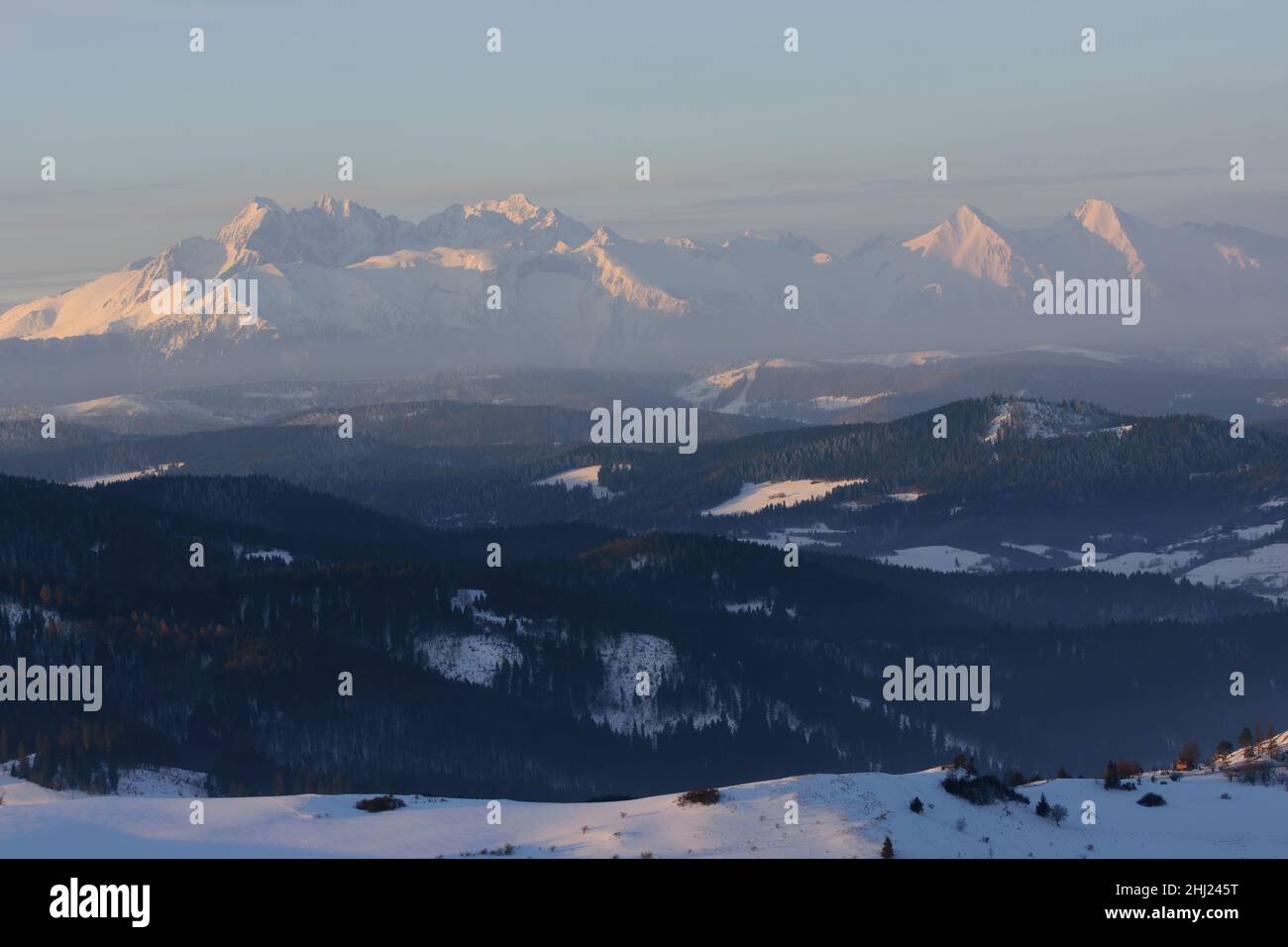 Paesaggio invernale di montagna. Piste innevate. Vista degli alti Tatra da Wysokie Wierch Foto Stock