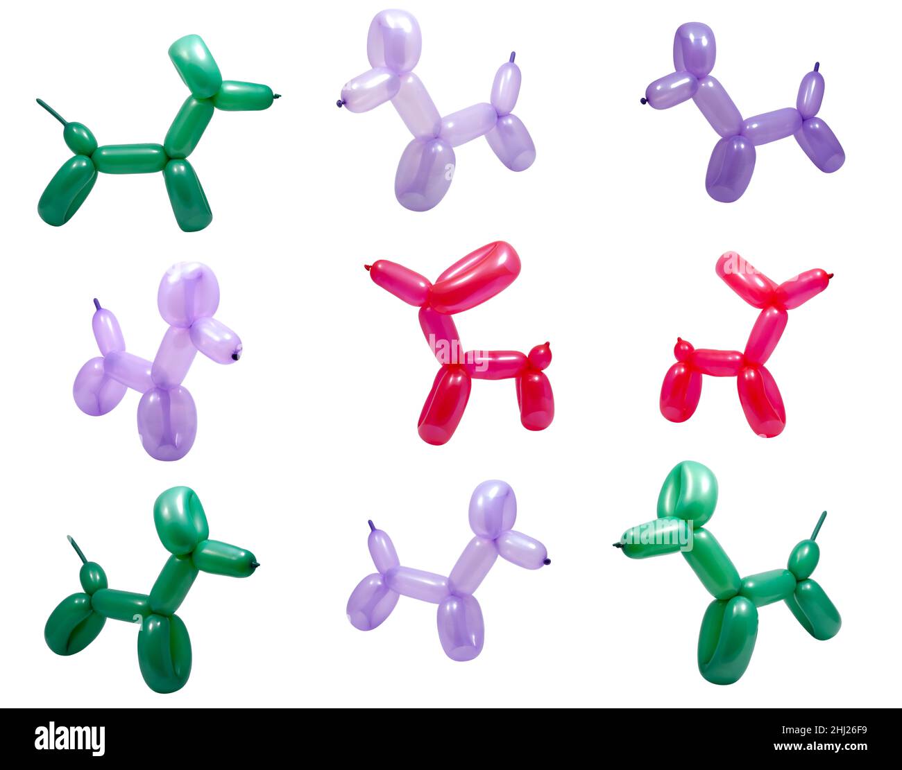 Collezione set di cani da palloncino di colore diverso isolato sul bianco Foto Stock