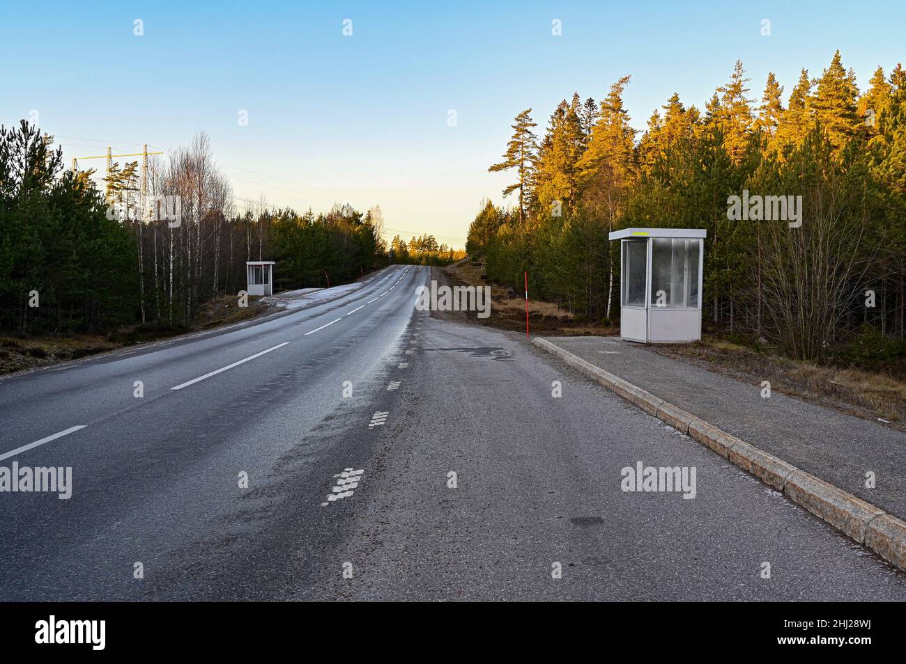 strada dritta attraverso la foresta con due fermate di autobus Foto Stock