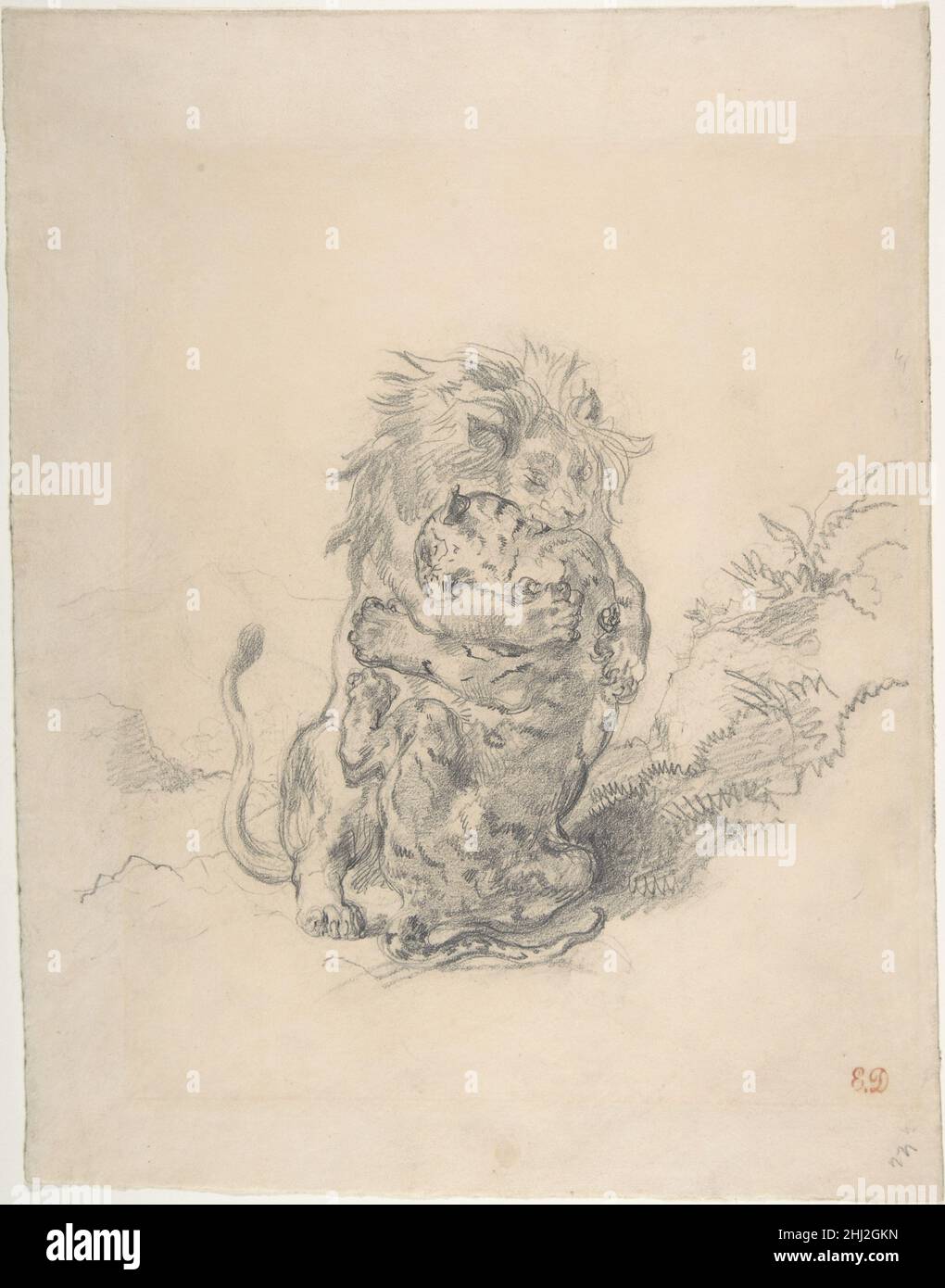 Un Leone e una Tigre, Fighting ca. 1854 Eugène Delacroix Francese. Un Leone e una Tigre, combattimenti. Eugène Delacroix (francese, Charenton-Saint-Maurice 1798–1863 Parigi). CA. 1854. Grafite su carta strizzata. Disegni Foto Stock