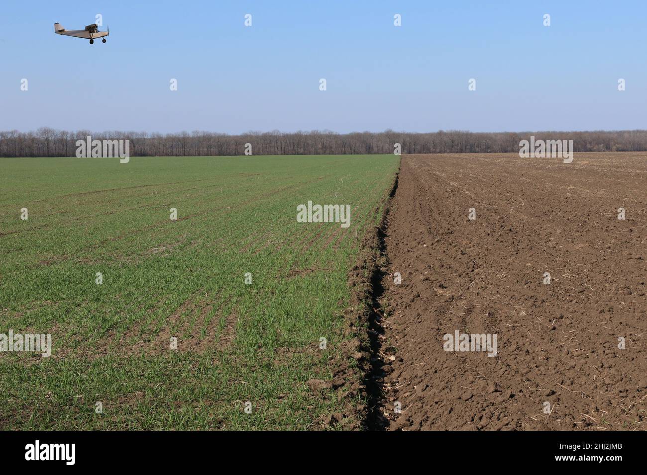 Un piccolo aereo vola su un campo agricolo. Aviazione agricola. Foto Stock