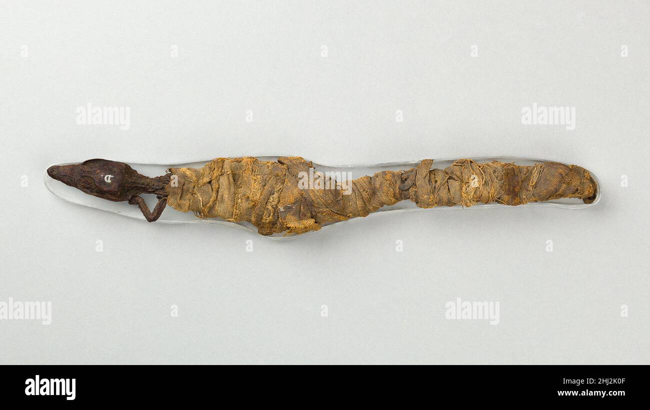 Mummia animale sacra di coccodrillo ca.400 a.C.–100 d.C. periodo tardo-romano culti animali gli Egiziani consideravano alcuni animali individuali come manifestazioni viventi di un dio, come, fin dai primi tempi, il toro delle API. Questi individui furono debitamente mummifed quando morirono e seppellirono per la vita eterna, poi sostituiti da un'altra manifestazione vivente. Durante il primo millennio a.C., molti multipli di animali associati a certi dei furono specialmente innalzati nei precetti del tempio come avatar simultanei di quel dio e poi mummificati in grandi contingenti e depositati in catacombe per e. Foto Stock