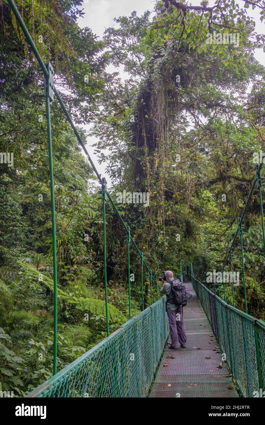 Fotografo su ponte sospeso nel Parco Selvatura, Monteverde, Provincia di Guanacaste, Costa Rica Foto Stock