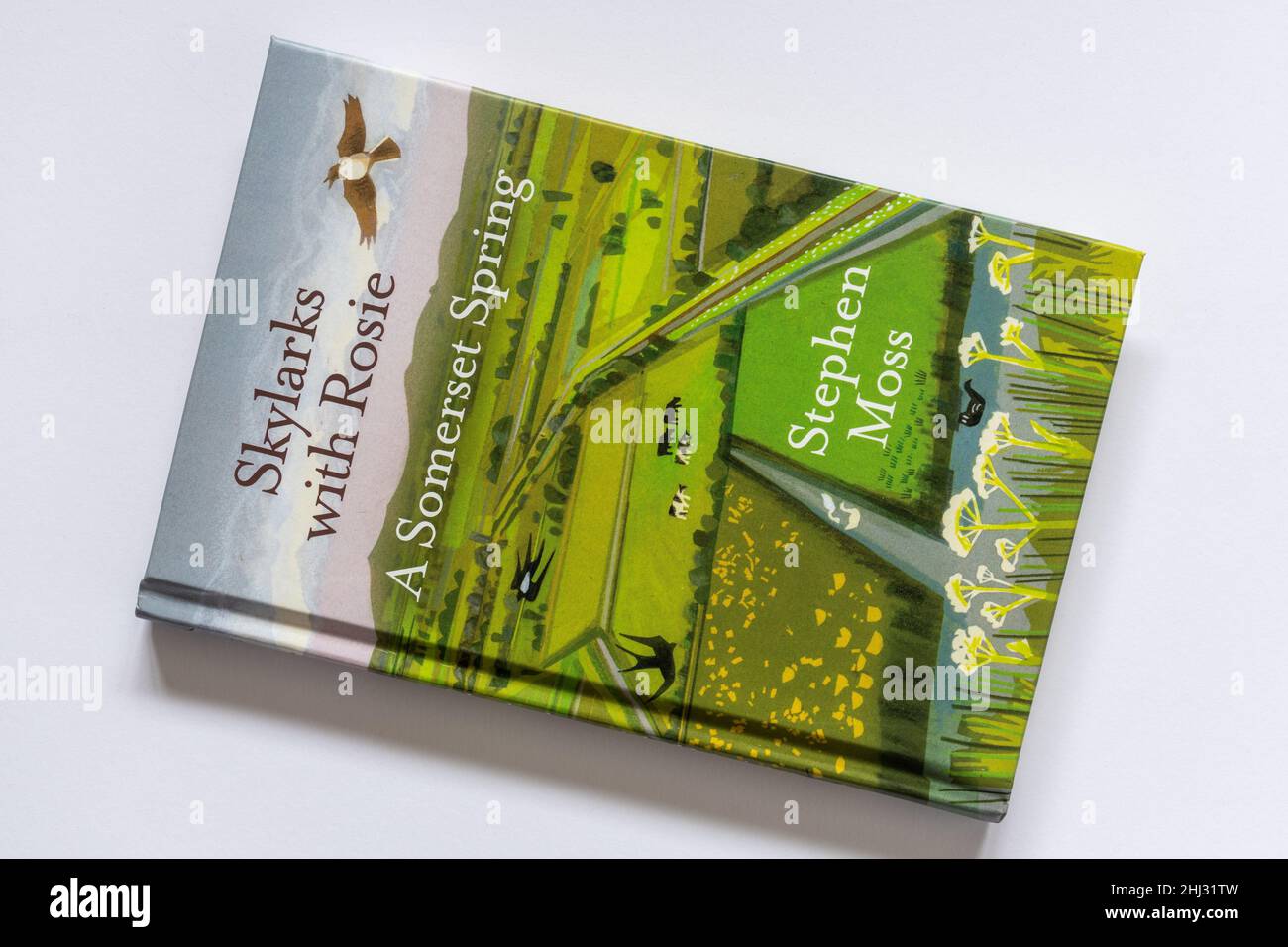 Skylarks con Rosie: A Somerset Spring, libro di Stephen Moss pubblicato nel 2021 sulla natura durante il blocco pandemico del coronavirus Foto Stock