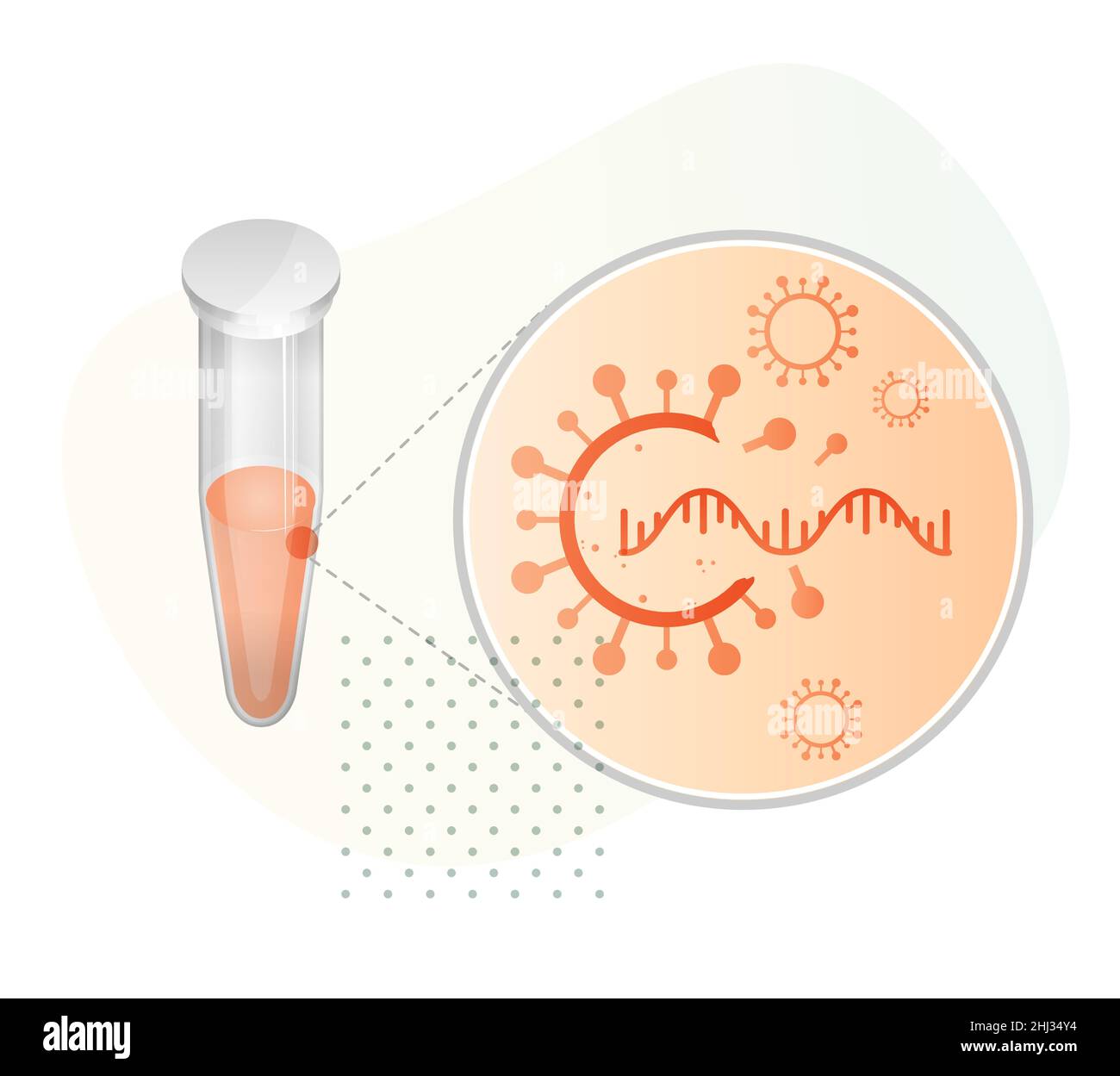 Amplificazione di acidi nucleici - PCR Testing Process - Illustrazione come file EPS 10 Illustrazione Vettoriale
