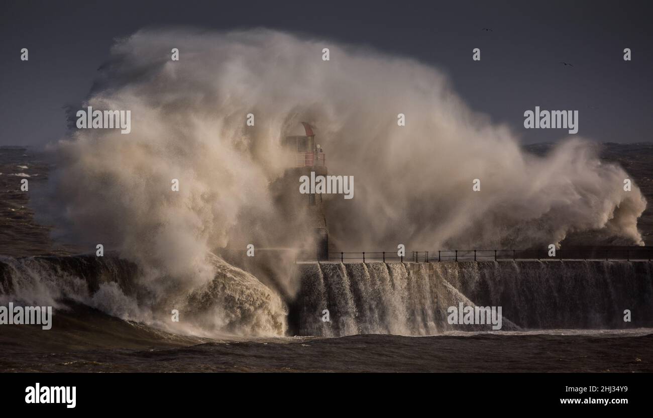 Le onde giganti battono il faro alto 15meter che custodisce il molo sud alla foce del Tyne a South Shields, Inghilterra Foto Stock