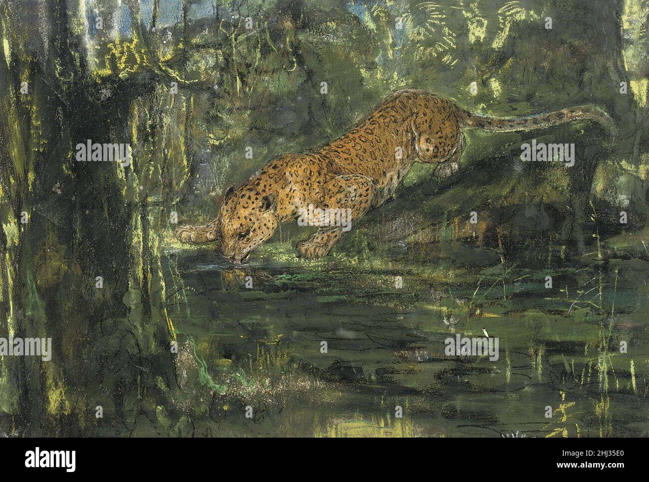 John Macallan Swan - Leopard bere da un ruscello. Foto Stock