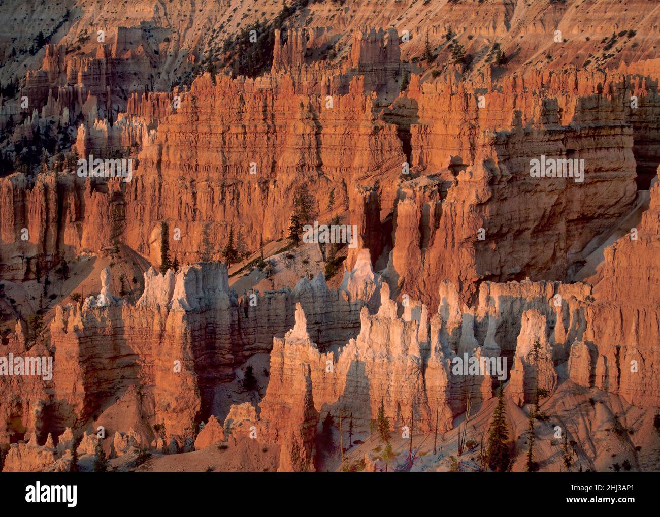 Bryce Canyon National Park, un'estesa riserva nel sud dello Utah, Stati Uniti Foto Stock