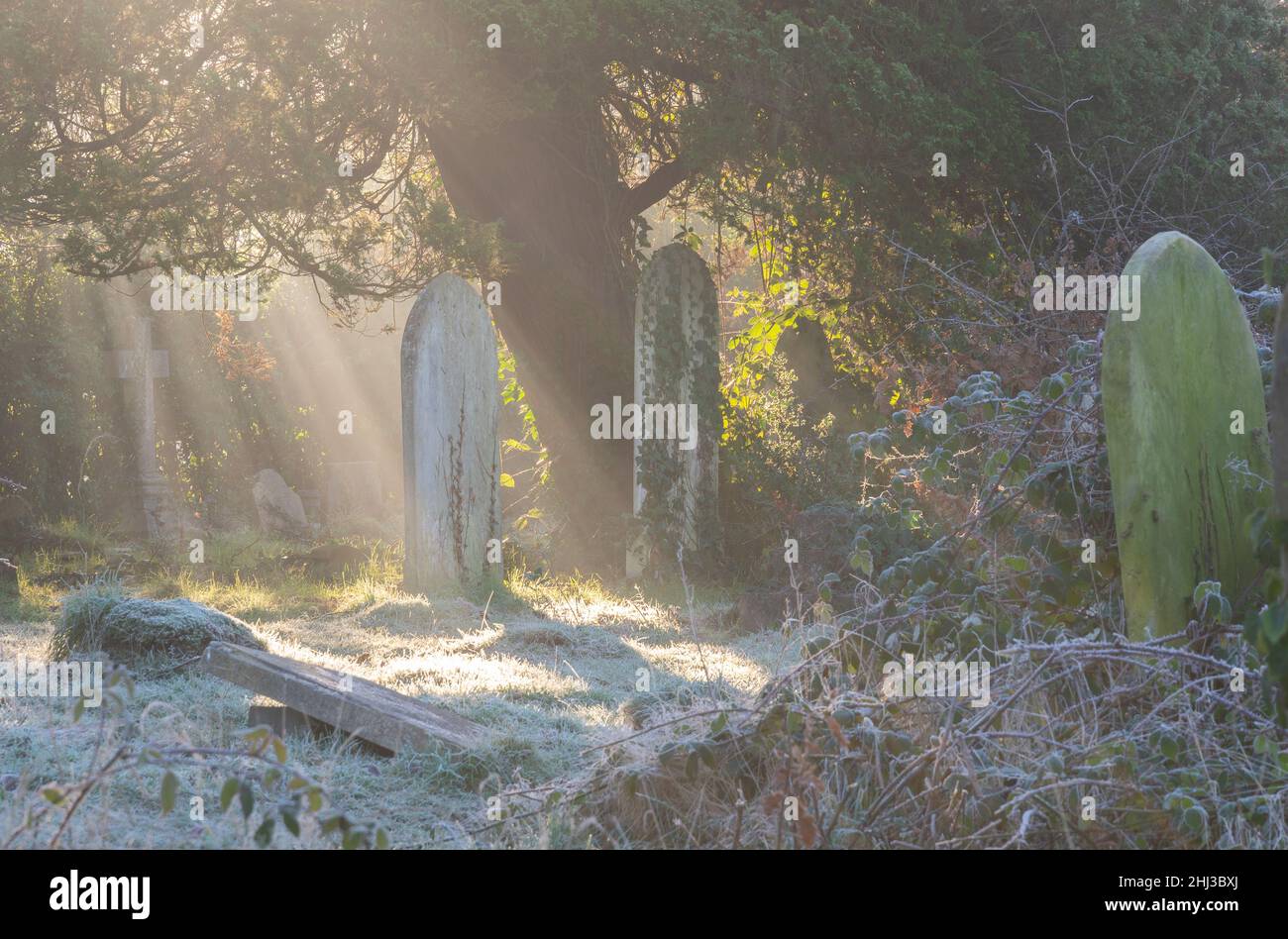 Raggi di luce nel vecchio cimitero di Southampton Foto Stock