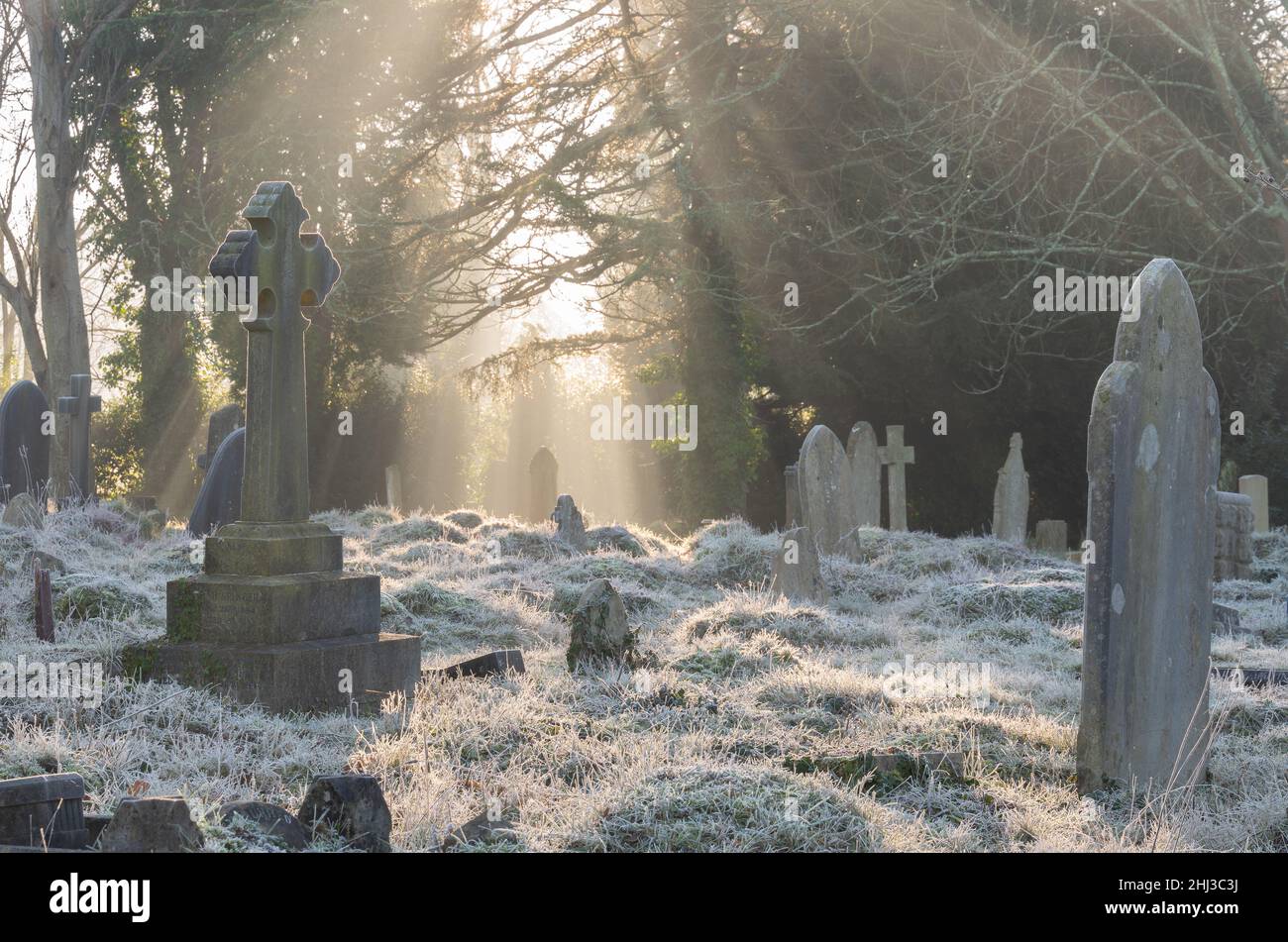 Raggi di luce nel vecchio cimitero di Southampton Foto Stock