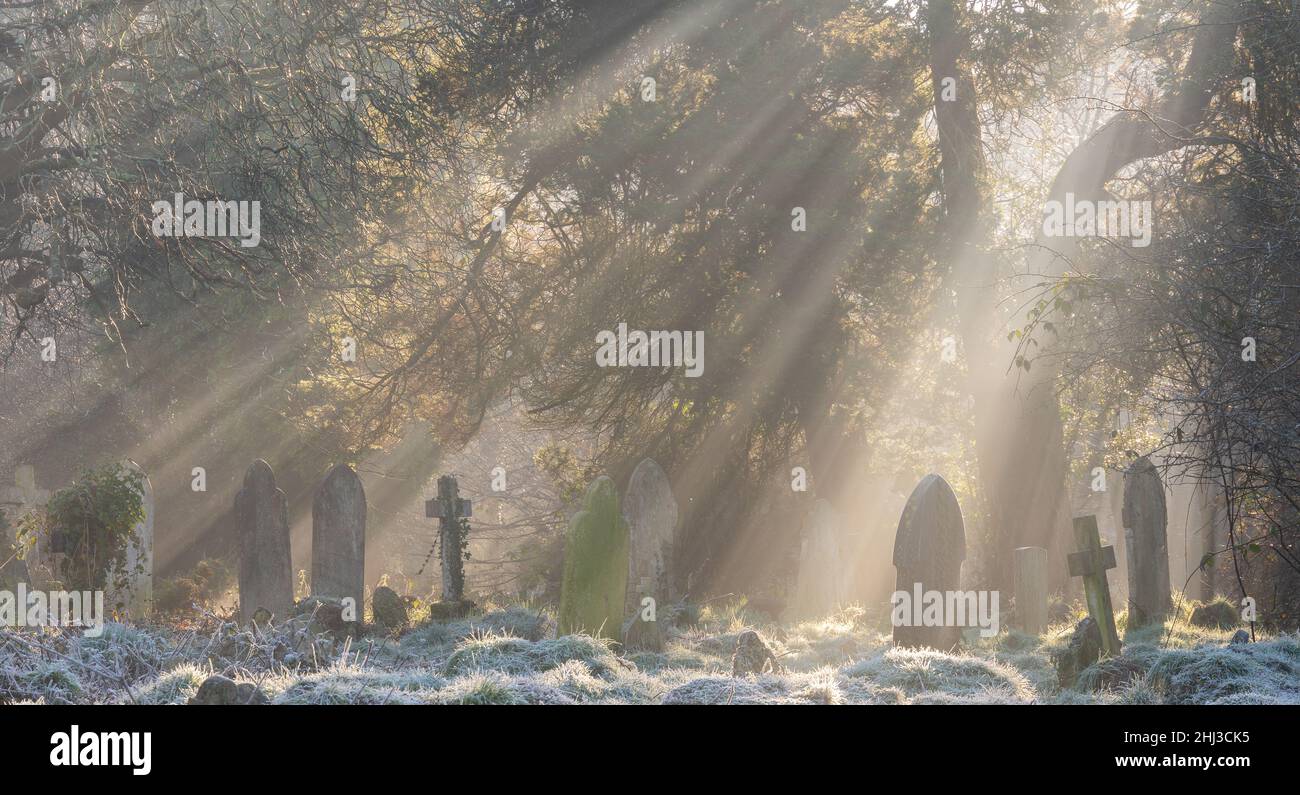 Raggi di luce nel vecchio cimitero di Southampton Foto Stock