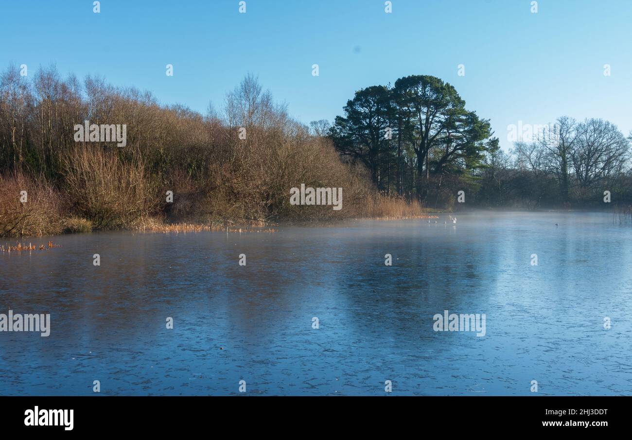 Mattina gelida al Lago Ornamental, Southampton Common Foto Stock