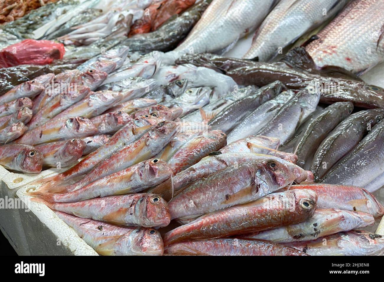 Pesce fresco e frutti di mare alla bancarella del mercato del pesce. Varietà di pesce fresco Foto Stock