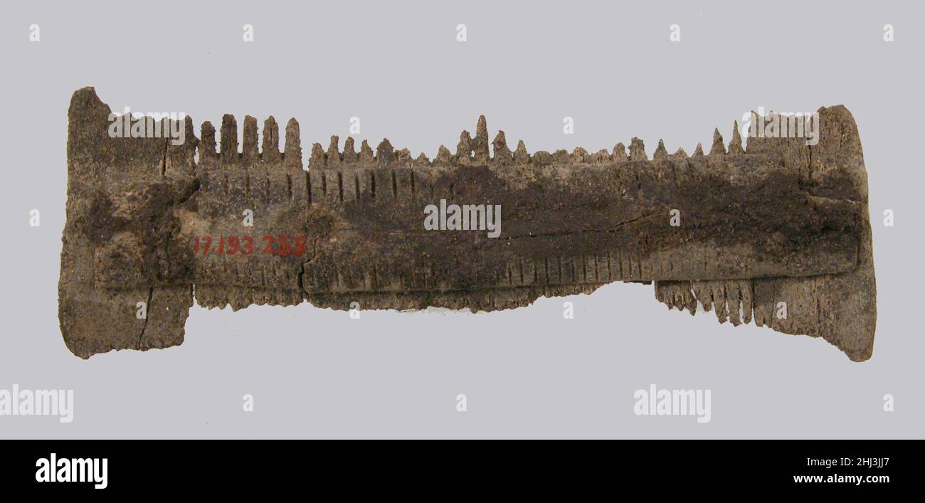Pettine a due lati 7th secolo Frankish. Pettine a due lati 465580 Frankish, pettine a due lati, 7th Century, osso, spilli di ferro, Totale: 3 15/16 x 1 1/4 x 7/16 poll. (10 x 3,2 x 1,1 cm). Il Metropolitan Museum of Art, New York. Dono di J. Pierpont Morgan, 1917 (17.193.255) Foto Stock