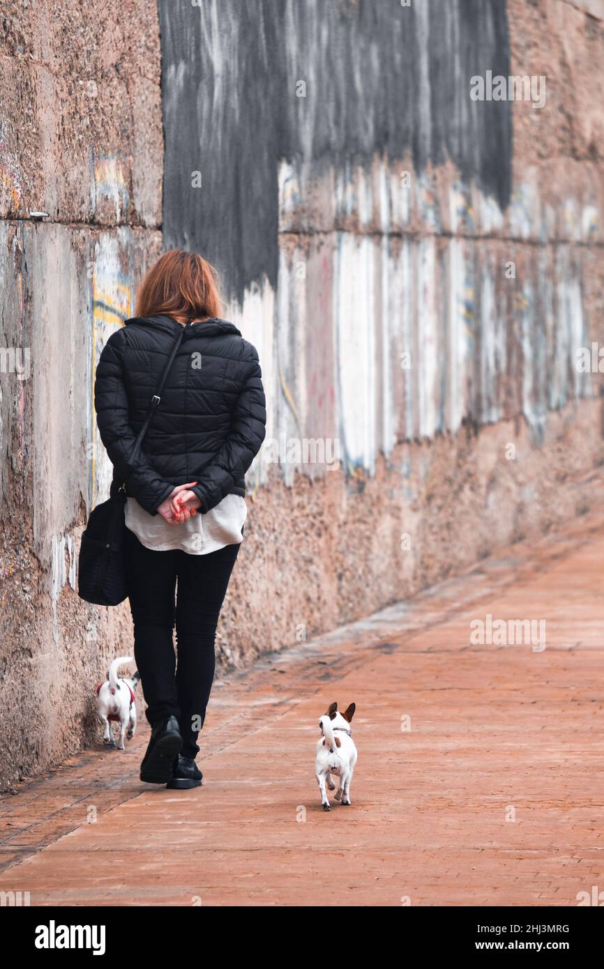 Donna che cammina per strada con due cani Foto Stock