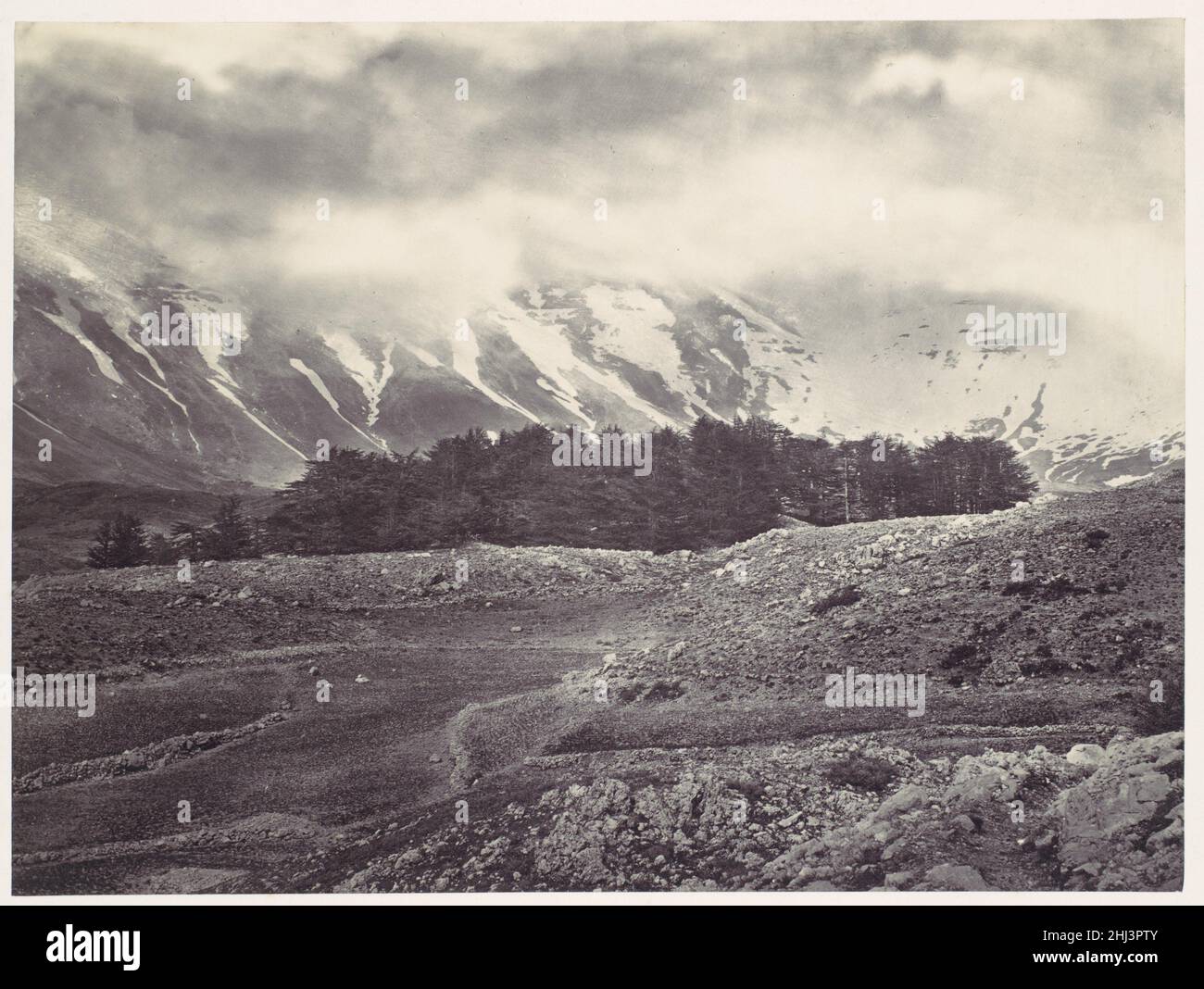 Vista distante dei Cedri del Libano ca. 1857 Francis Frith British. Vista distante dei Cedri del Libano 260089 Foto Stock