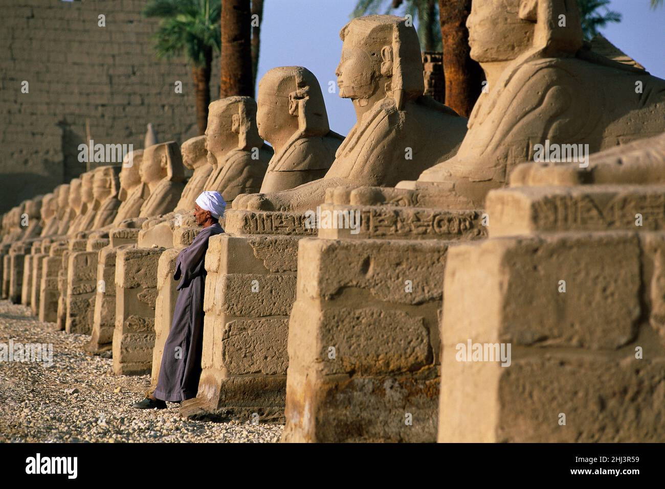 Uomo egiziano in piedi nel viale di Sphinxes che conduce al tempio di Luxor, Luxor, Egitto Foto Stock