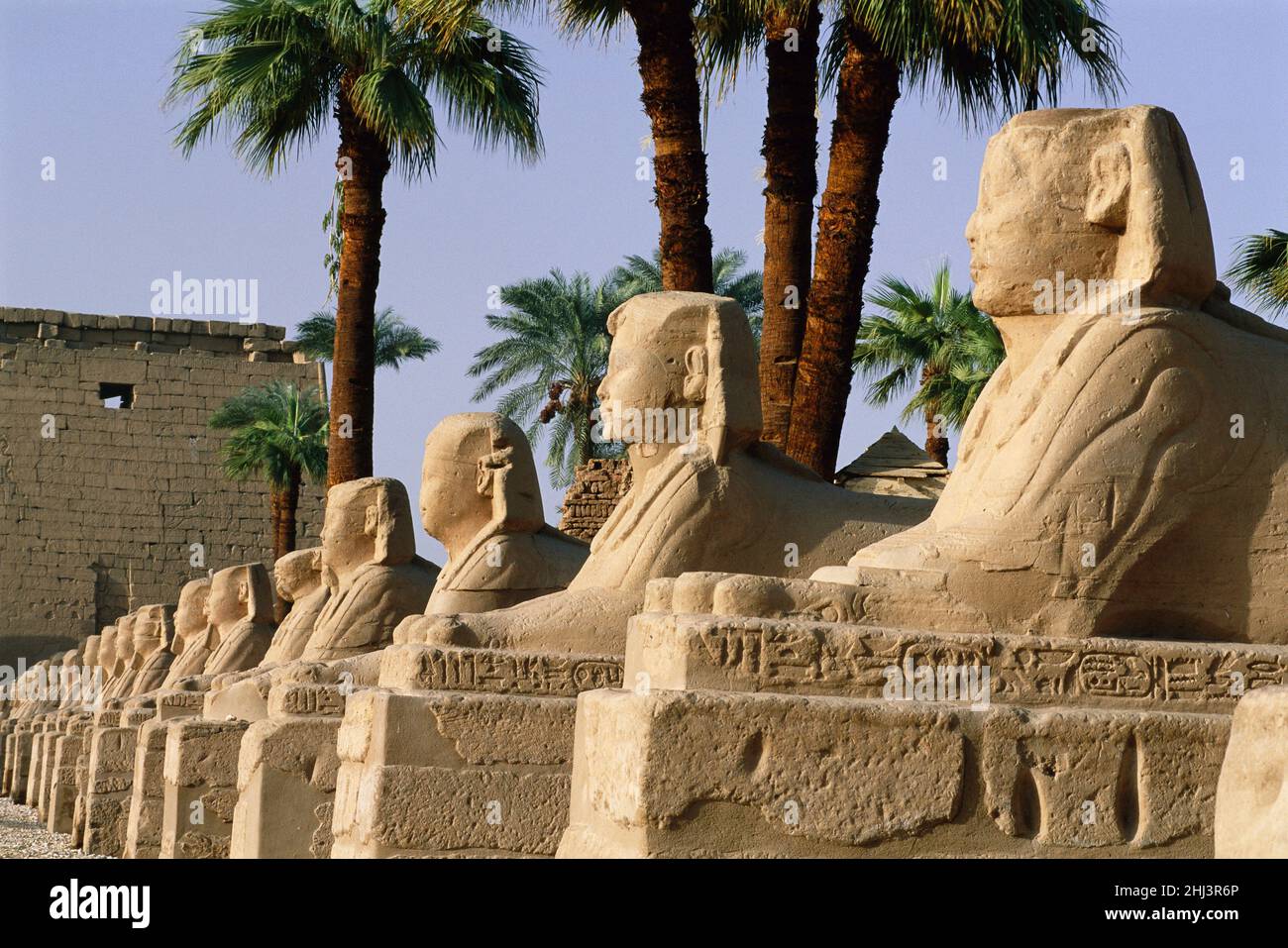 Il viale di Sphinxes che conduce al Tempio di Luxor, Luxor, Egitto Foto Stock