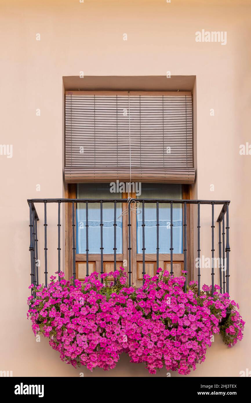 vista verticale di un balcone decorato con fiori pendenti di bouganville Foto Stock