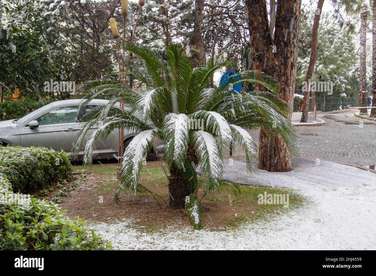 Belek, Antalya, Turchia - 26 gennaio 2022: Nevicate pesanti sulla costa mediterranea. Tempesta di neve e palme bianche coperte. Spiagge vuote e hotel Foto Stock