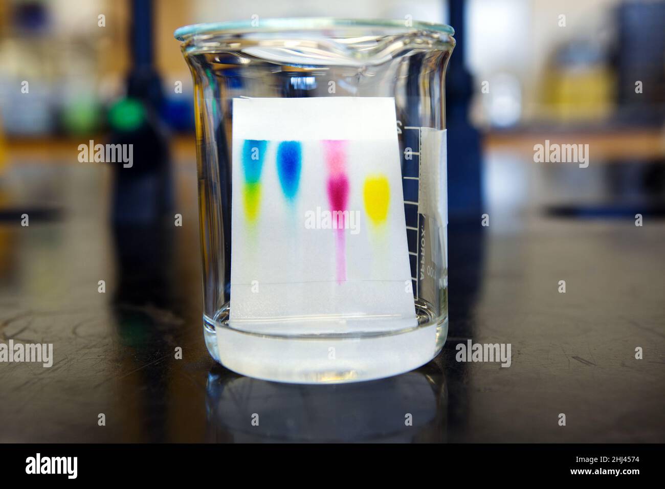 Cromatografia su strato sottile immagini e fotografie stock ad alta