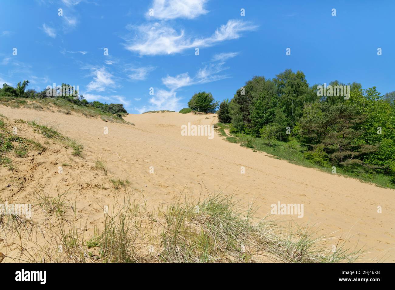 La duna di sabbia “Big Dipper”, una delle dune più alte d’Europa al 200ft, Merthyr Mawr Warren NNR, Glamorgan, Galles, Regno Unito, maggio. Foto Stock