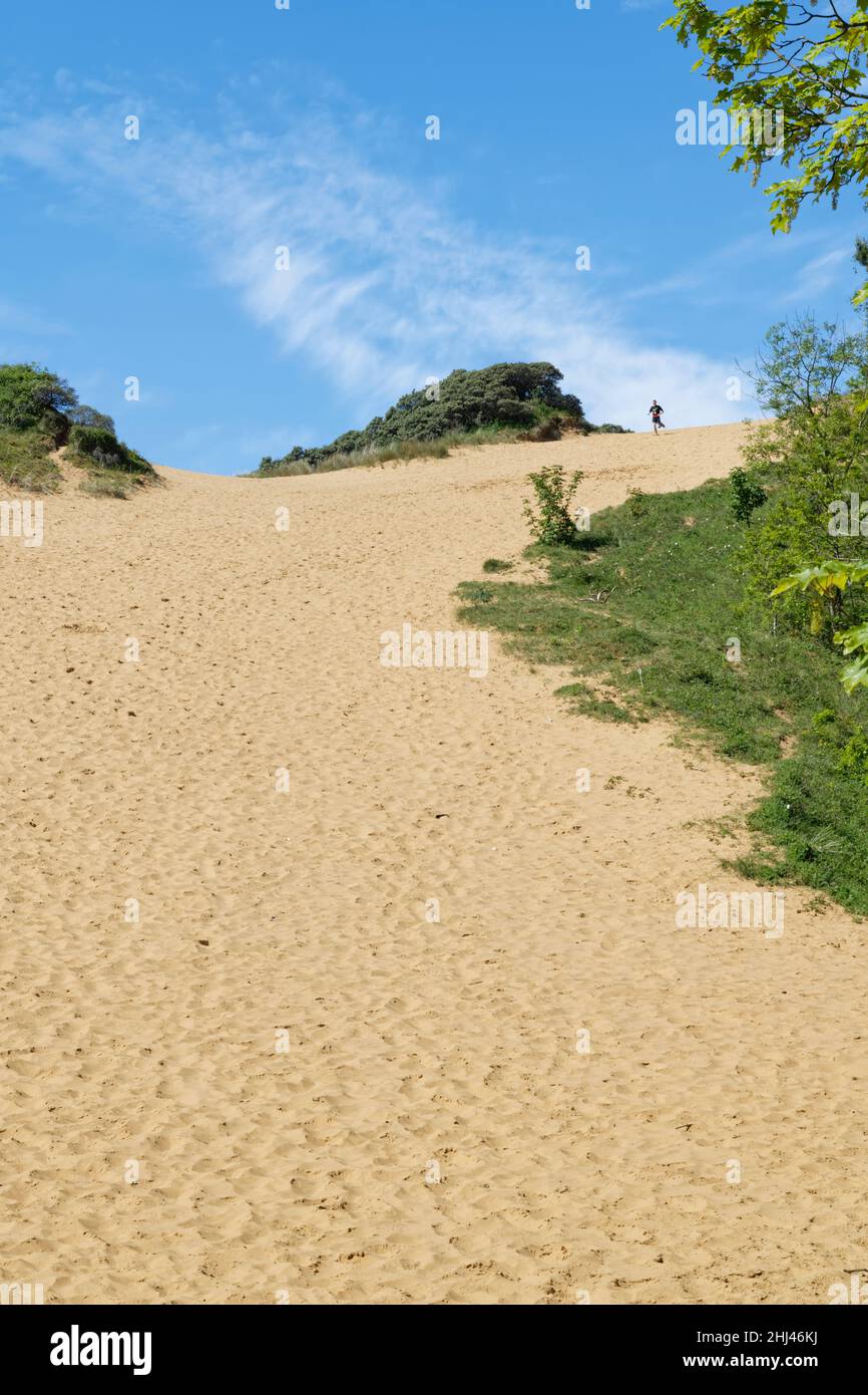 Runner sta per scendere la duna di sabbia “Big Dipper”, una delle dune più alte d’Europa alle 200ft, Merthyr Mawr Warren NNR, Glamorgan, Galles, Regno Unito, maggio. Foto Stock