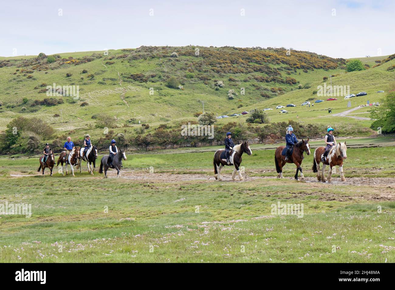 Cavalieri di cavalli su un sentiero paludoso accanto al fiume Ogmore sul lato meridionale del Merthyr Mawr Warren NNR, Glamorgan, Galles, Regno Unito, maggio. Foto Stock