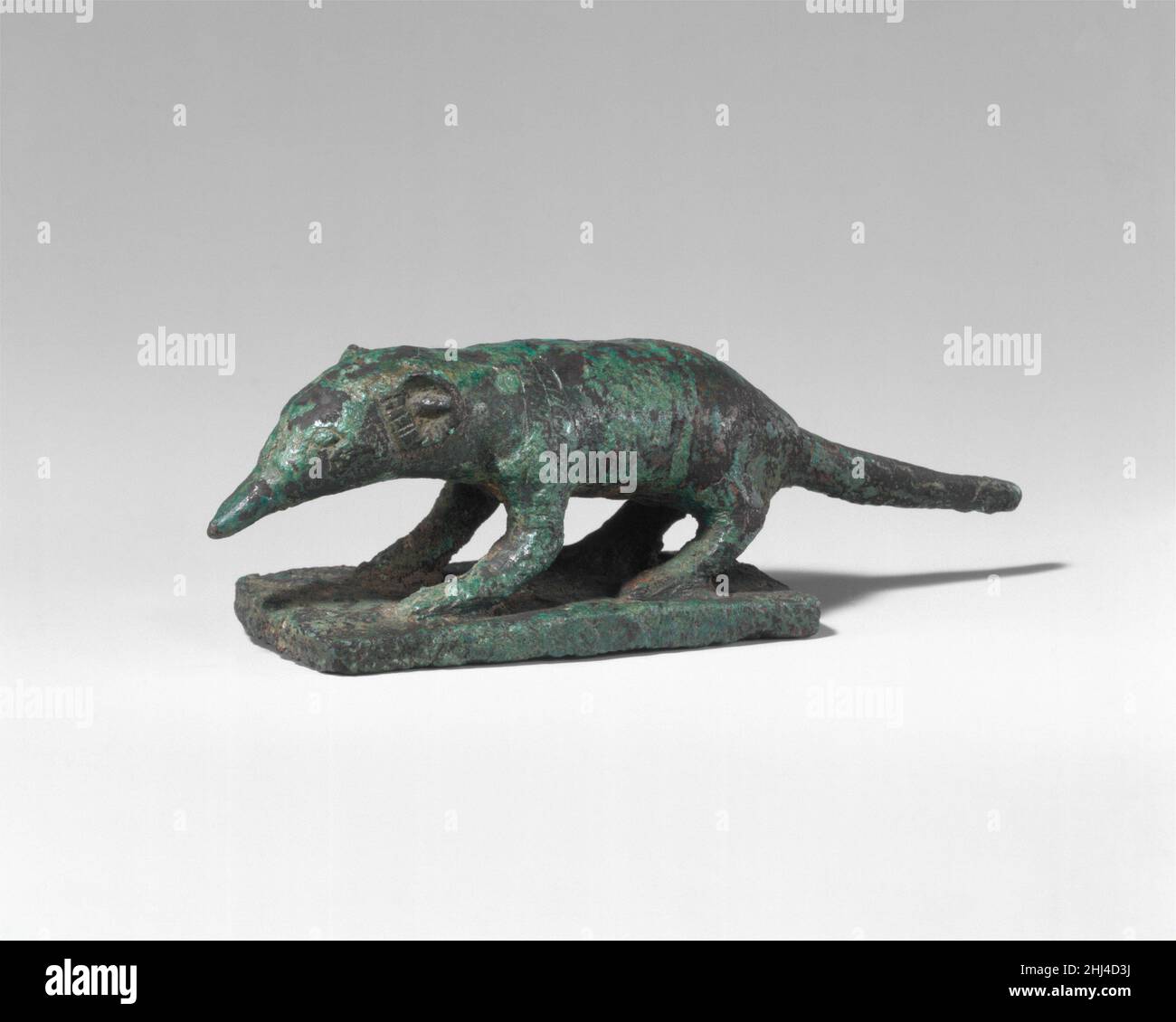 Shrew 304 a.C.–30 a.C. il periodo tolemaico 'il vorace' era il nome degli antichi Egiziani per la zampa, un epiteto che descrive in modo appropriato le abitudini alimentari di questo piccolo animale. Nella mitologia egiziana antica lo shrew era strettamente associato con l'ichneumon. Lo shrew rappresentava l'aspetto cieco di una divinità solare il cui complemento, dotato di una vista viva, era inteso come l'pneumatico. Shrew 544116 Foto Stock