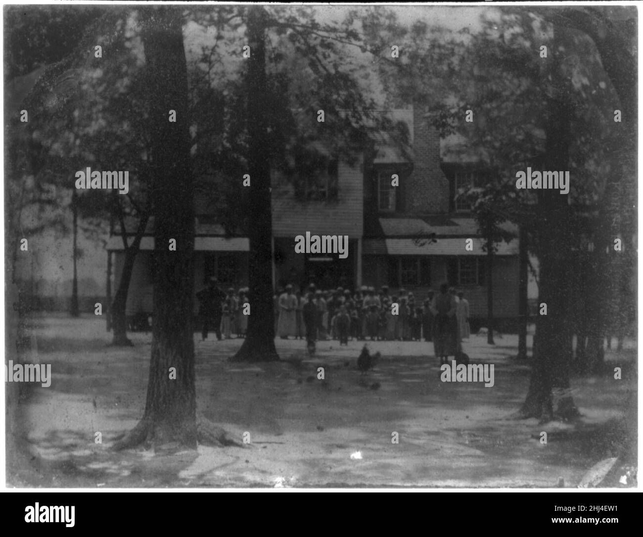 Ramo di staffatura Plantation, Bishopville, S.C., il settantacinquesimo compleanno del Cap. James Rembert, Giugno 8, 1857 - Vista posteriore della casa con schiavi disposti dalla rank Foto Stock