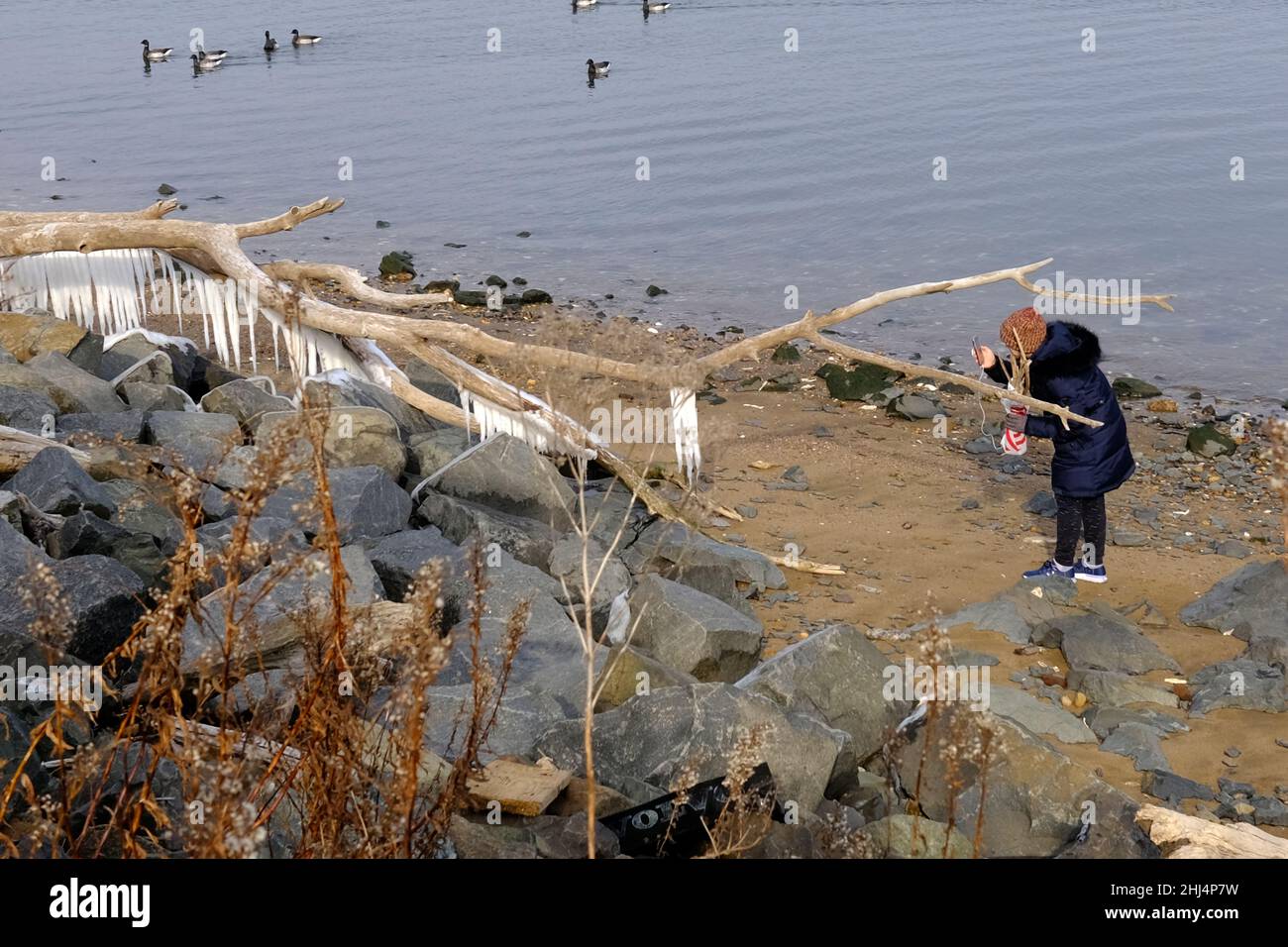 Una donna che fotografa interessanti formazioni di ghiaccio sulla riva della Baia di Raritan Foto Stock