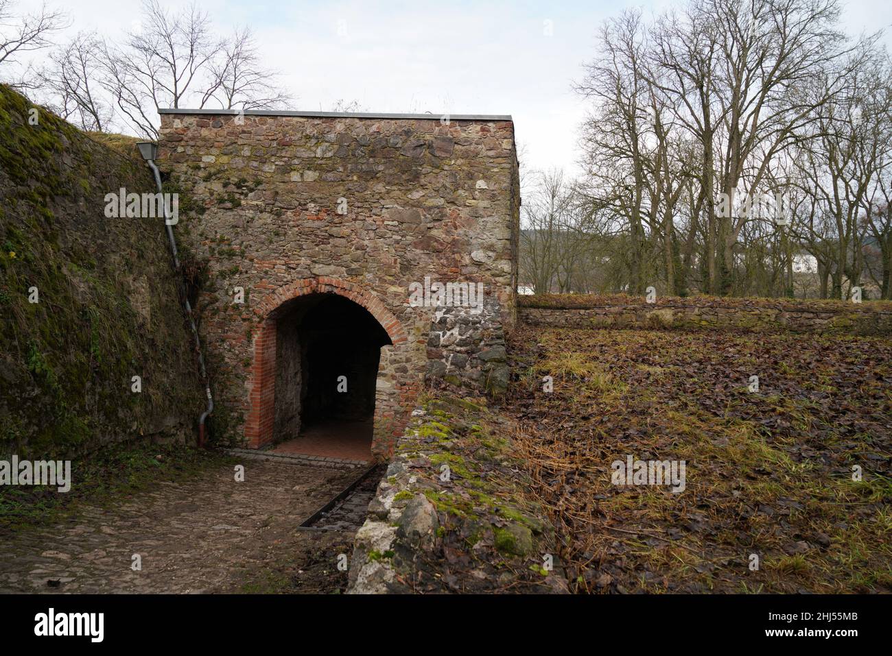 Le rovine del castello di Donaustauf sul Danubio vicino a Regensburg. Foto Stock