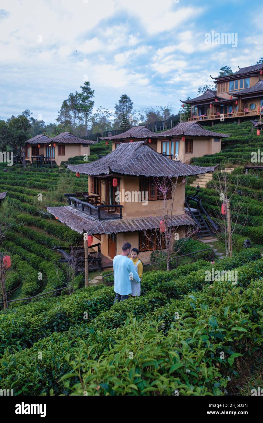 Alba al vino Lee Rak Thai, insediamento cinese, Mae Hong Son, Thailandia, bellissimo paesaggio durante l'alba al villaggio cinese tra Tea Plantation a Ban Rak Thai, Mae Hong Son in Thailandia. Foto Stock