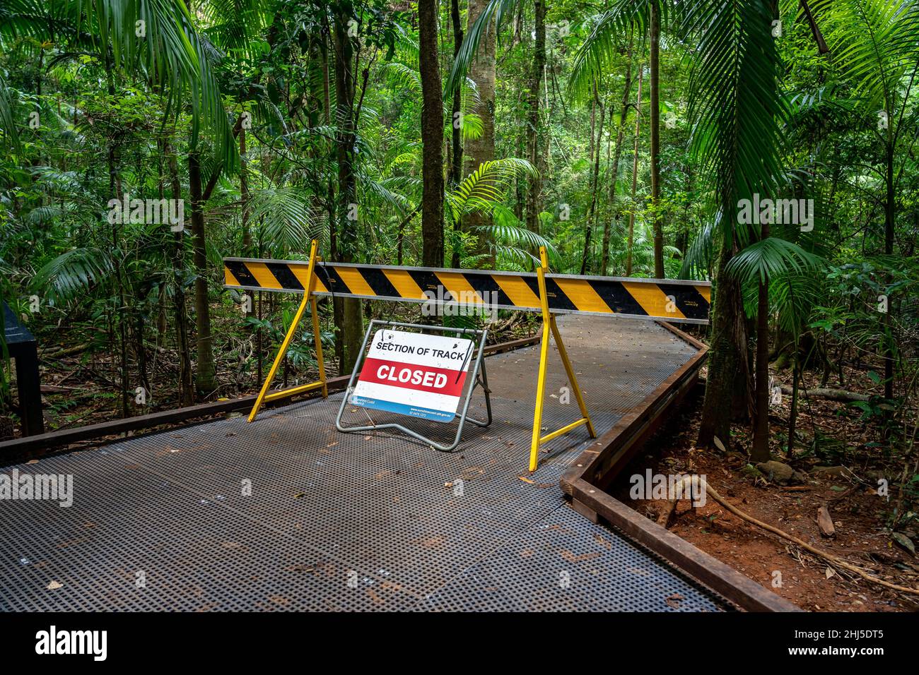 Segnale di strada chiusa che blocca la strada per un sentiero pedonale in una foresta Foto Stock