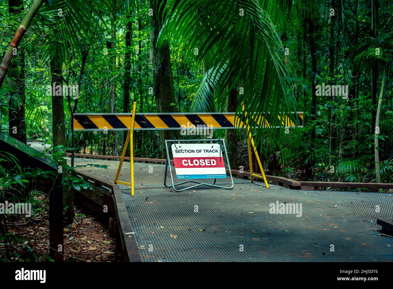 Segnale di strada chiusa che blocca la strada per un sentiero pedonale in una foresta Foto Stock