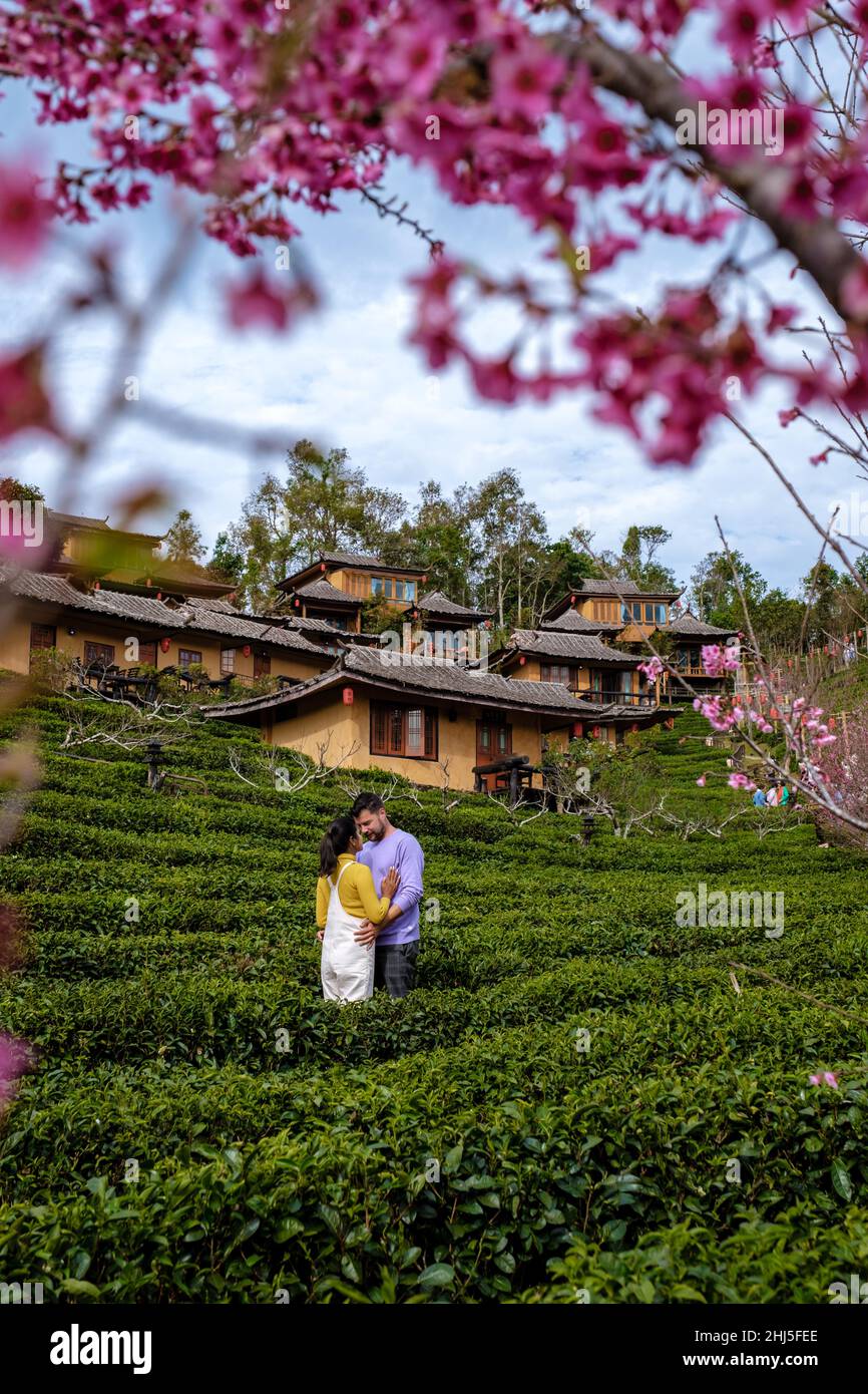 Alba al vino Lee Rak Thai, insediamento cinese, Mae Hong Son, Thailandia, bellissimo paesaggio durante l'alba al villaggio cinese tra Tea Plantation a Ban Rak Thai, Mae Hong Son in Thailandia. Foto Stock