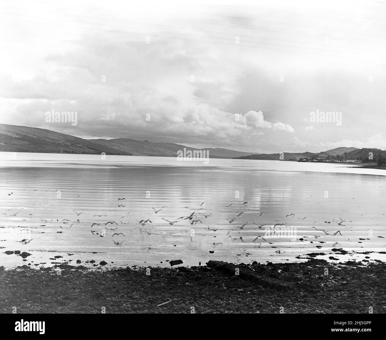 Gli uccelli marini sono l'unico segno di vita mentre si librano sopra le corrugate come le acque di Loch Fyne in cerca della loro cena. Presto cadrà l'oscurità, ma in questo studio eventide la vastità, la quiete e la calma perfetta così tradizionale della Scozia è stata catturata. Loch Fyne, Argyll e Bute, Scozia. Novembre 1956. Foto Stock