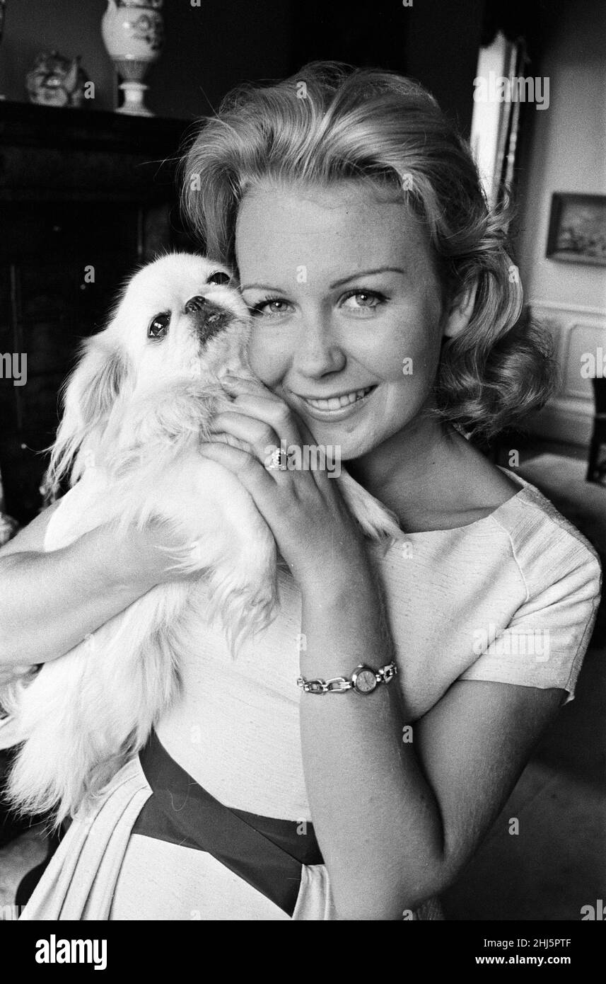 L'attrice Juliet Mills indossa il suo anello di fidanzamento. 10th agosto 1961. Foto Stock