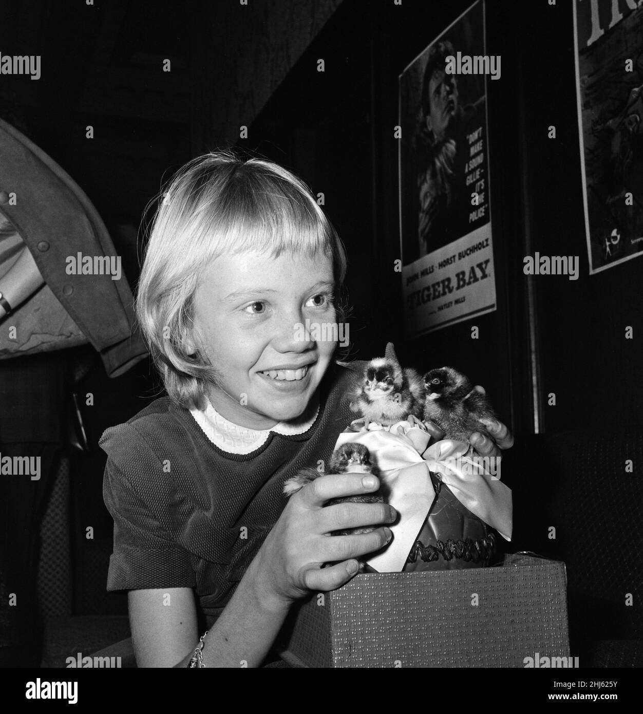 L'attrice Hayley Mills di 12 anni tiene una conferenza stampa al Leicester Square Theatre per celebrare il suo grande successo nel film "Tiger Bay". È raffigurata alcuni pulcini di Pasqua e un grande uovo di cioccolato alla sua conferenza stampa. 25th marzo 1959. Foto Stock